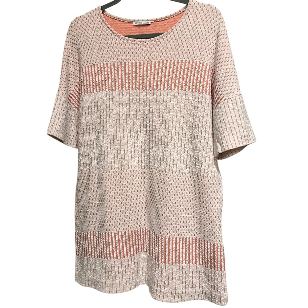 Zara • Tunic Dress